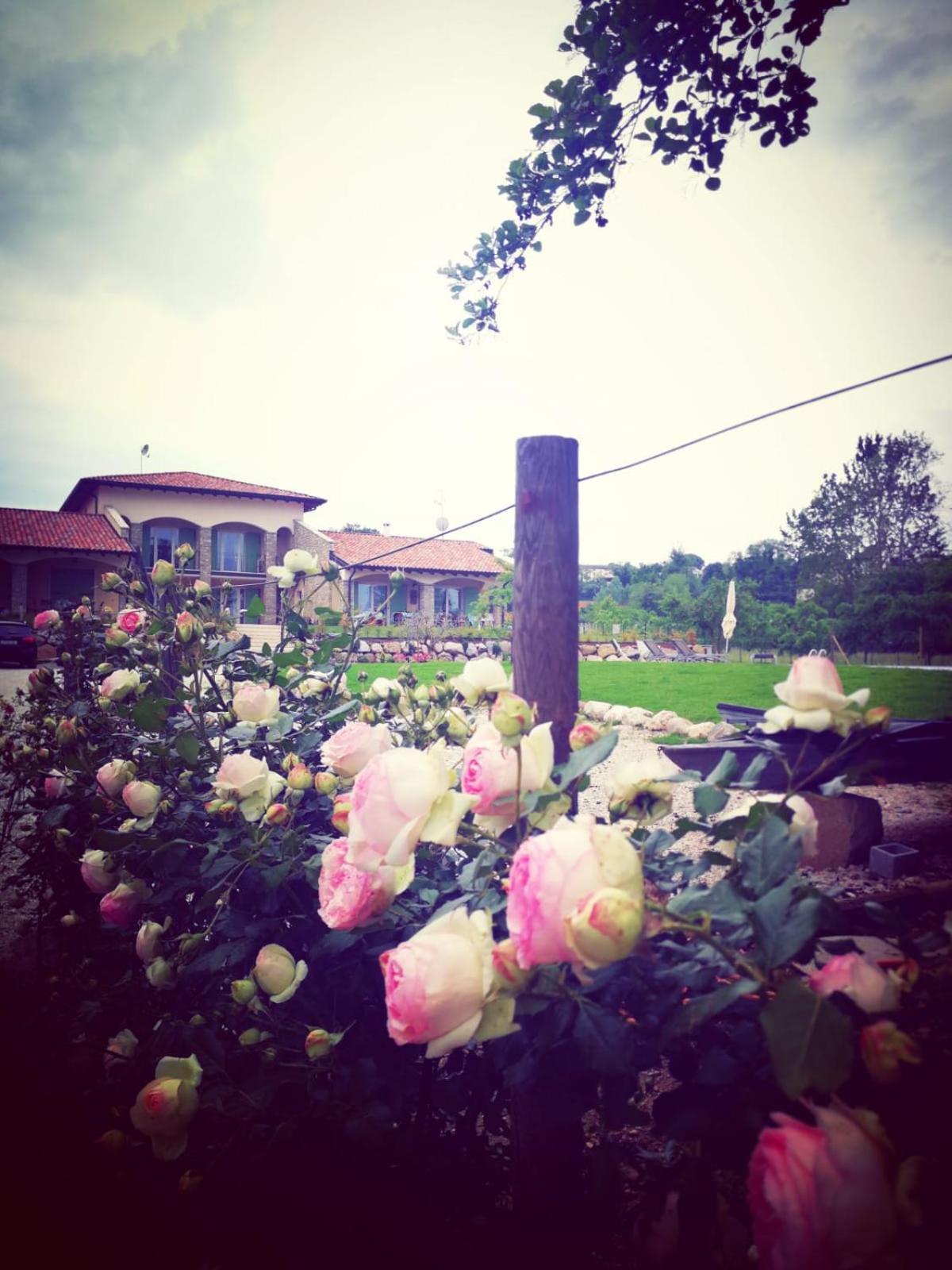Orchidea Del Garda Rooms & Apartments Peschiera del Garda Luaran gambar